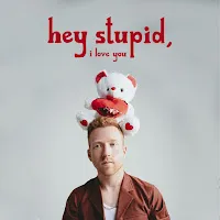 Jp Saxe — Hey Stupid, I Love You — обложка